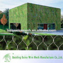 China Lieferant Baina künstliche grüne Wand